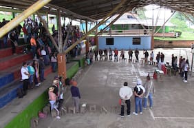“Todo es por el territorio”: Coca, guerrilla y muerte en el Cauca