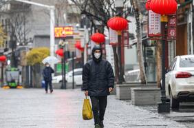 ¿Murciélagos? ¿Un laboratorio? Delegación de la OMS viaja a China para dilucidar cuál fue el verdadero origen del coronavirus