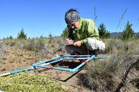 Científico chileno participa de estudio global que realiza inédito hallazgo sobre la biodiversidad del planeta