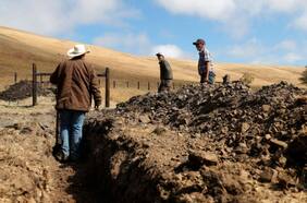 Científicos advierten que la Amazonía entró en una etapa crítica