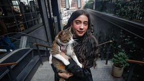 Mi mascota y yo: Molly, la gata viajera