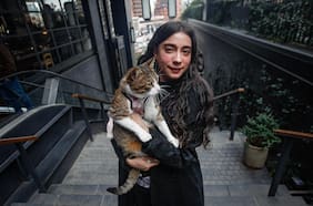 Mi mascota y yo: Molly, la gata viajera