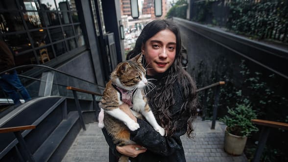 Mi mascota y yo: Molly, la gata viajera
