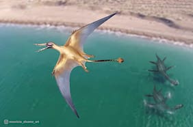 El enigmático “dragón volador prehistórico” que surcó los cielos chilenos del Jurásico: científicos descubren el pterosaurio más antiguo que habitó el país