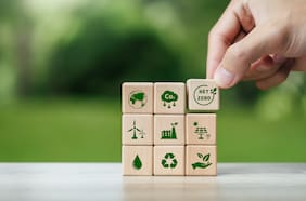 Empresas avanzan en sostenibilidad, pero persisten brechas en biodiversidad, inclusión y transparencia financiera