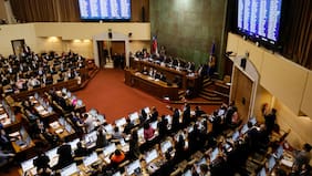 Diputados de oposición presionan a sus senadores para actuar en bloque y rechazar megaproyecto