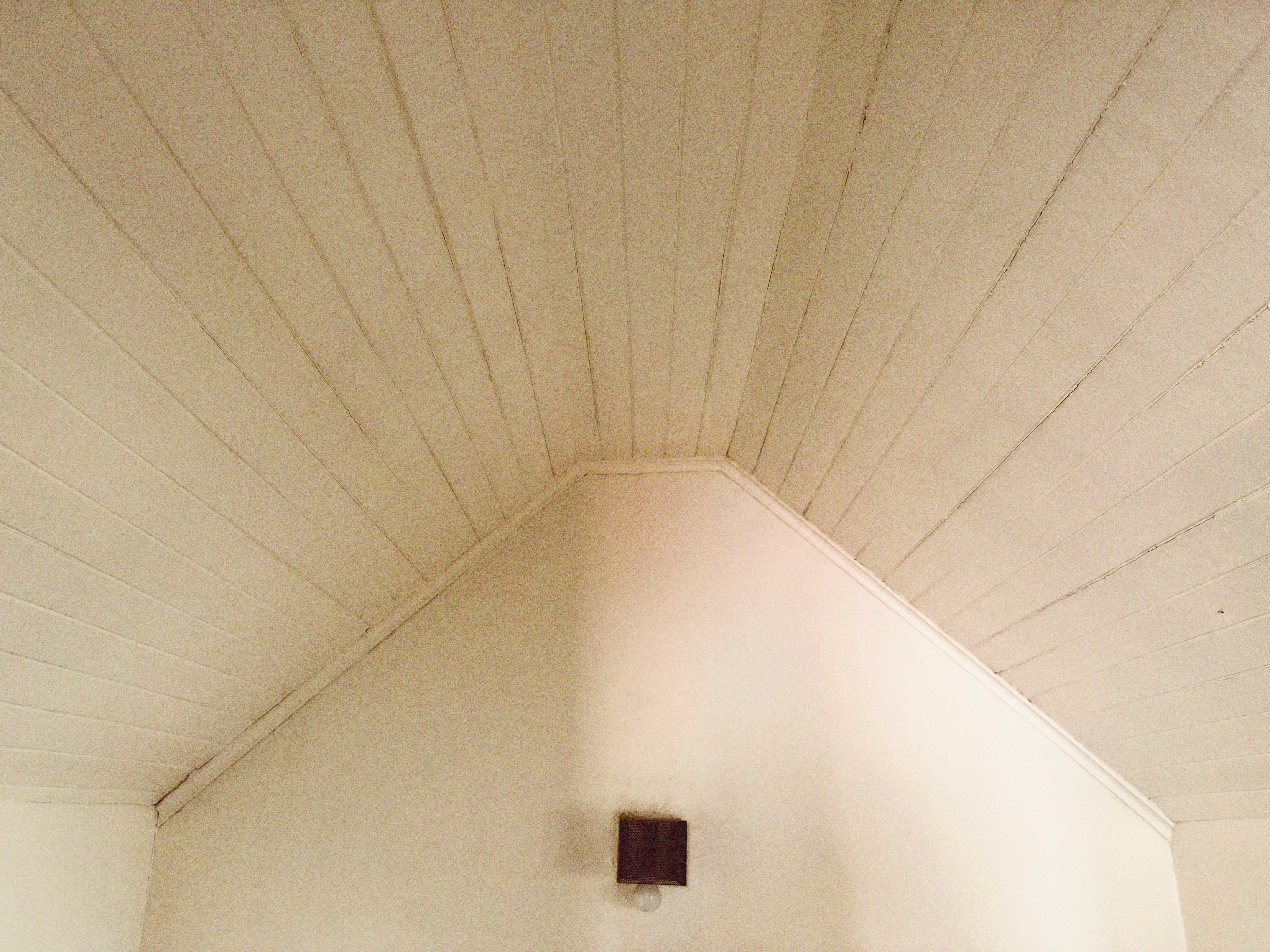 Foto tomada con el iPhone 18 Pro Max