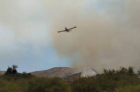 Incendio forestal en Galvarino ha consumido más de 400 hectáreas y sigue en combate: continúa la alerta roja en la provincia de Malleco