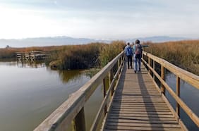 Humedales: Guardianes del futuro y la vida en el planeta
