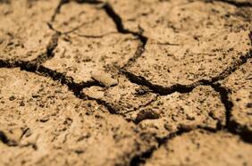 Una variable más a tomar en cuenta en sus decisiones de inversión: los efectos del cambio climático en el mercado