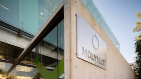 Grupo Matte sale de la propiedad de Molymet