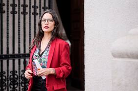 Comisión de la Cámara oficia a Vallejo para que explique sus dichos “respecto a que la seguridad se usaría como campaña electoral”