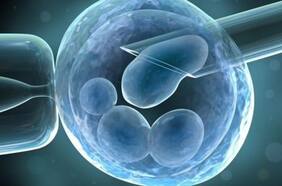 Centro de Recolección de DKMS: “550 chilenos han donado células madres y más 270 mil personas se han inscrito”