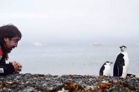 Alvaro Longoria, productor y director de cine  español: “No es sólo un asunto de osos polares, es de nosotros mismos”