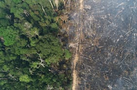 Pacto Mundial de Jóvenes por el Clima: colegios de Putre hasta Puerto Williams reciben asesoría de científicos para combatir crisis climática