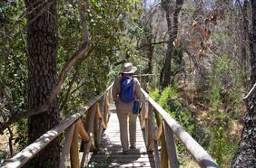 Altos de Cantillana: la reserva natural a una hora de Santiago que es un tesoro de la biodiversidad