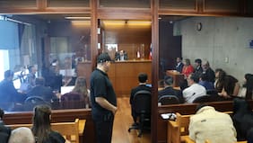 Amparo Noguera entre las víctimas: formalizan a banda que encabezó millonarias estafas cibernéticas