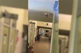 Impresionante colonia de murciélagos invade CESFAM