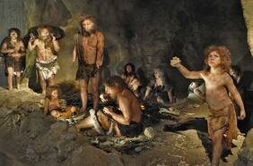 Columna de Opinión de Felipe Barros: “Neandertales: a un aminoácido de distancia”