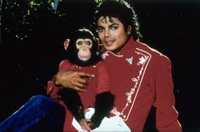 La historia de Bubbles, el famoso chimpancé que fue adoptado por Michael Jackson
