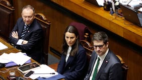 Escuelas Protegidas: se aprueba en el Senado, pero La Moneda teme no lograr despacho antes de la cuenta pública