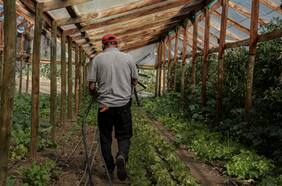 Gremios agrícolas solicitan que proyecto de 40 horas adecúe jornadas según sector económico