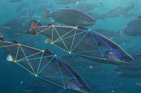 La ciencia de datos emerge como socia clave de la salmonicultura