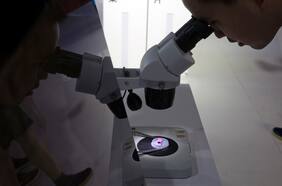 China le da un duro golpe a la industria electrónica: Samsung y Micron advierten un grave impacto en la producción de chips por cuarentenas en Xian