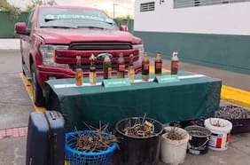 Mantenían en su poder una camioneta robada, bombas molotov y miguelitos: operativo deja dos detenidos en El Bosque