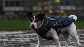 Los efectos del sistema frontal que dejará lluvia en gran parte de Chile hoy