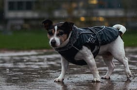 Los efectos del sistema frontal que dejará lluvia en gran parte de Chile hoy