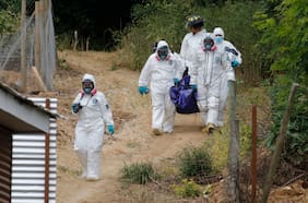 San Vicente de Tagua Tagua: Carabineros demuele viviendas clasificadas como puntos de interés