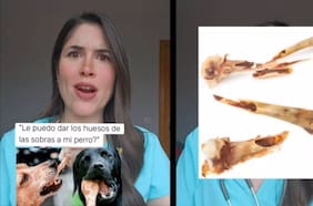 Soy veterinaria y esto es lo que pienso de darle huesos a los perros