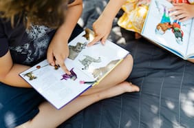 Literatura infantil en Chile: un mundo vibrante y complejo