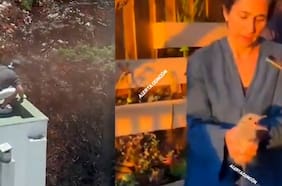 Imágenes sensibles: Pareja lanzó polluelos de gaviota desde una azotea en Maitencillo