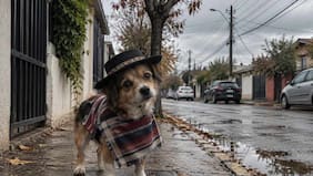 Este día comienza la lluvia en Santiago y la zona central, según el pronóstico del tiempo