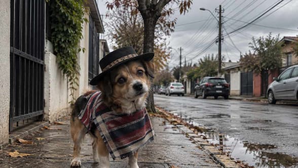 Este día comienza la lluvia en Santiago y la zona central, según el pronóstico del tiempo