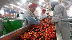 Perú versus Chile: La amenaza agroexportadora es real
