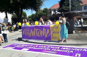 Qué es el suicidio femicida, el delito tipificado en la Ley Antonia y que registró su primer caso en la Región de Atacama