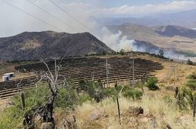 Combaten incendio forestal en Tiltil: al menos 50 hectáreas han sido afectadas