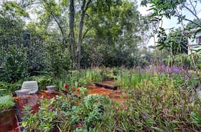 No más pasto: cómo tener un jardín sustentable en casa