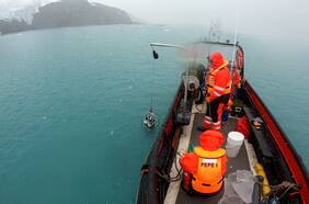 Bitácora de un científico en la Antártica: Ciencia bastarda