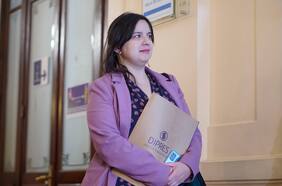 “Es frustrante y genera rabia”, los descargos de Javiera Martínez por los casos que involucran a militantes de RD