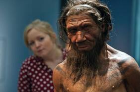 ¿Por qué hay personas madrugadoras? El ADN neandertal podría esconder la respuesta