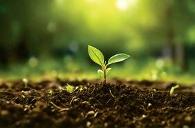 Impacto Verde: la apuesta de BancoEstado por un futuro sostenible