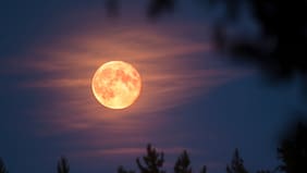 ¿Cuándo ver la Superluna de noviembre? Se anuncia como la más brillante del año