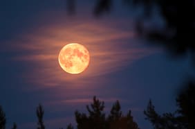 Cuándo es la Luna de Ciervo y cuál es el horario para verla en Chile