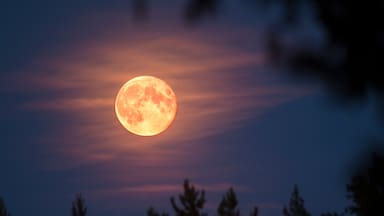 ¿Cuándo ver la Superluna de noviembre? Se anuncia como la más brillante del año