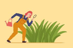 No es llegar y sacar: 9 consejos para desmalezar con eficiencia