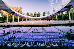 El ADN del Festival: la desconocida trastienda de cómo se arma Viña 2024